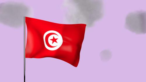 Animated Tunisian Flag preview image
